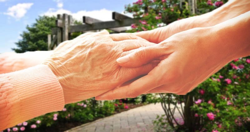 What You Need To Know About Elderly Care