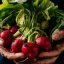 Advantages of Organic Food