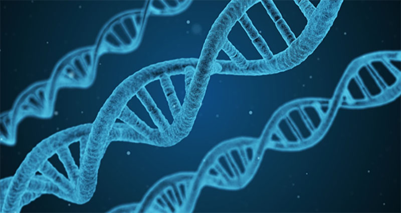 Analyze Your DNA From The Comfort Of Your Home