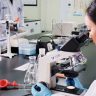 Developing and Improving Indonesian Pharmaceutical Development