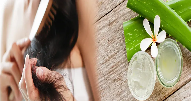 Best Natural Treatments for Healthy and Strong Hair